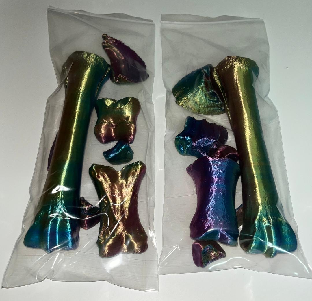 Knochensalat  "Einhorn" Basic (ohne Kleber)