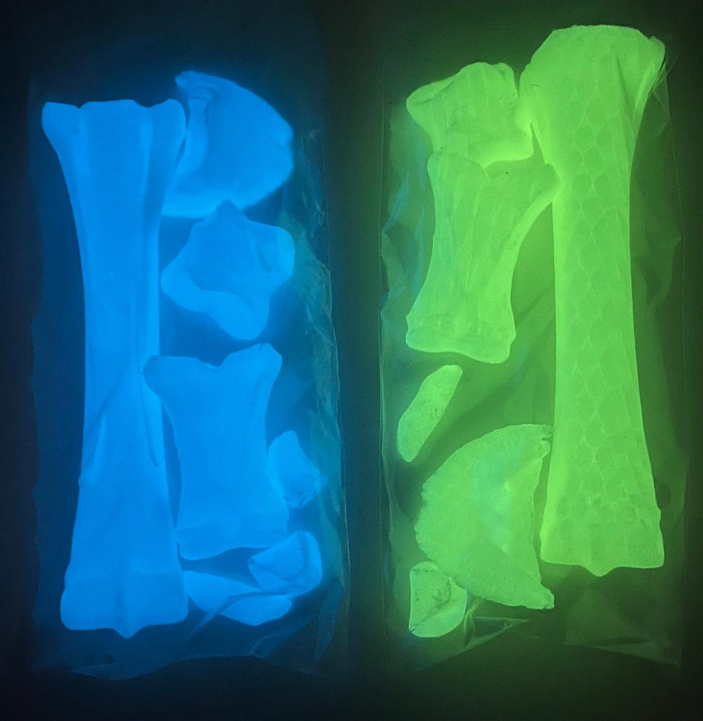 Knochensalat  "Geisterpferd" Basic (ohne Kleber)