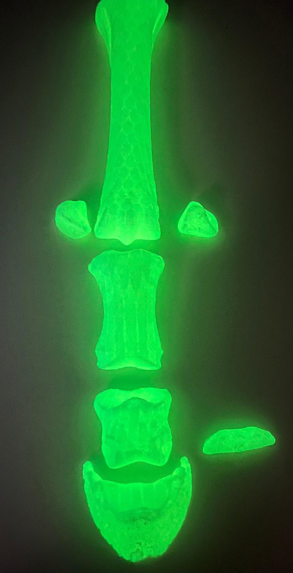 Knochensalat  "Geisterpferd" Basic (ohne Kleber)