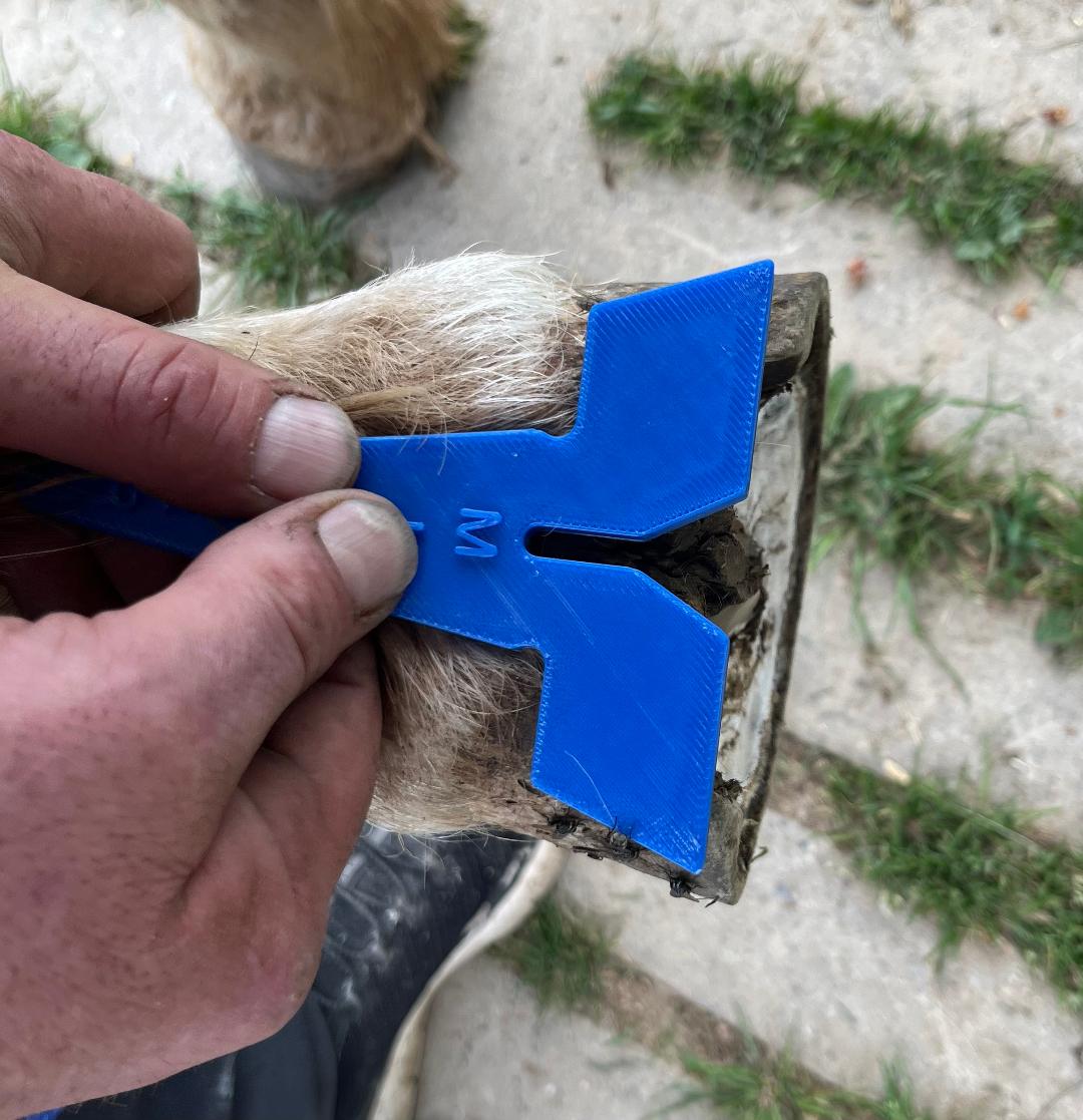 MML Miller Medio Lateral Gage