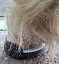 Squishy Pads Pferd/Pony Spacer/Abstandhalter